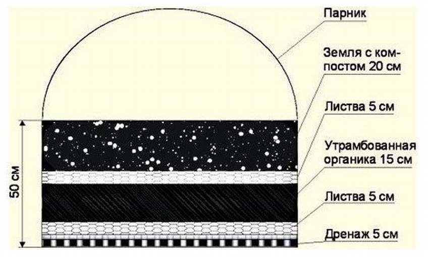 Теплые грядки: 7 моделей для