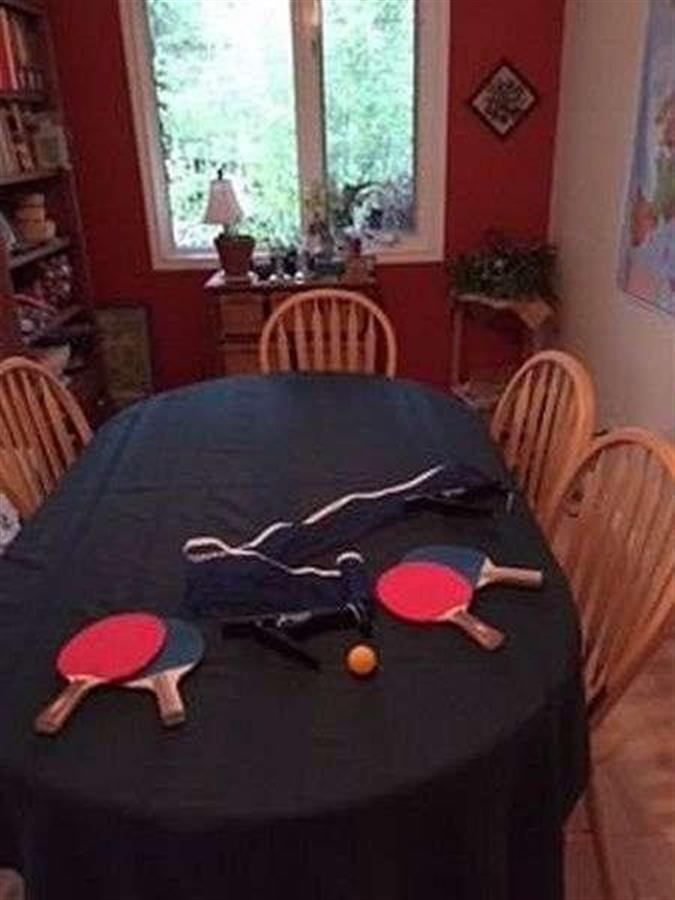 Обеденный стол для настольного тенниса