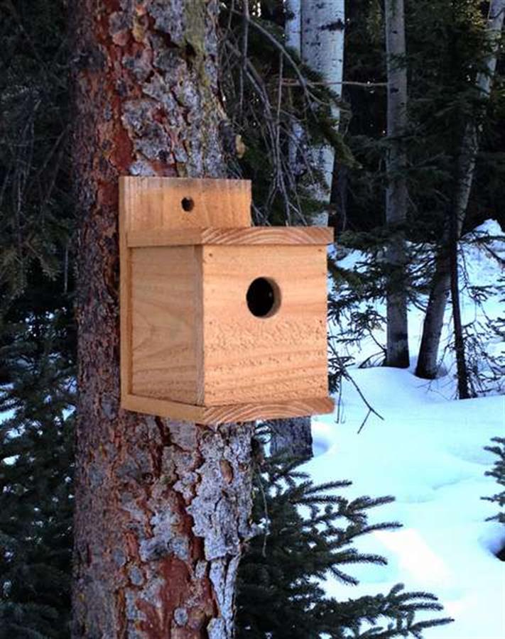 Скворечник своими руками из дерева