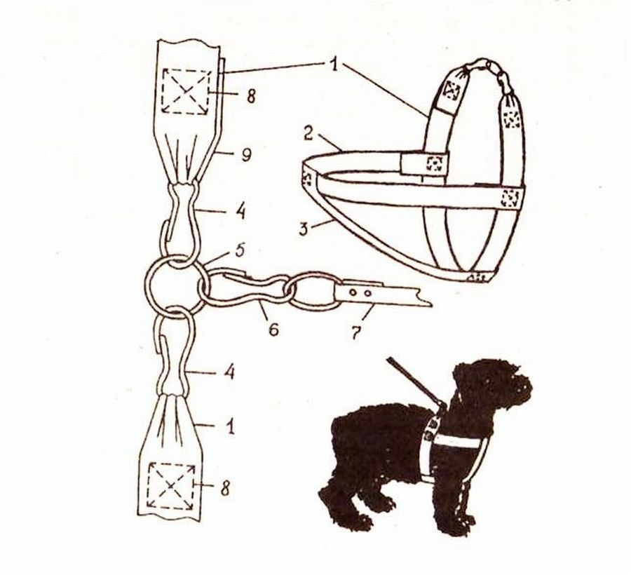Выкройки - шлейка для собак