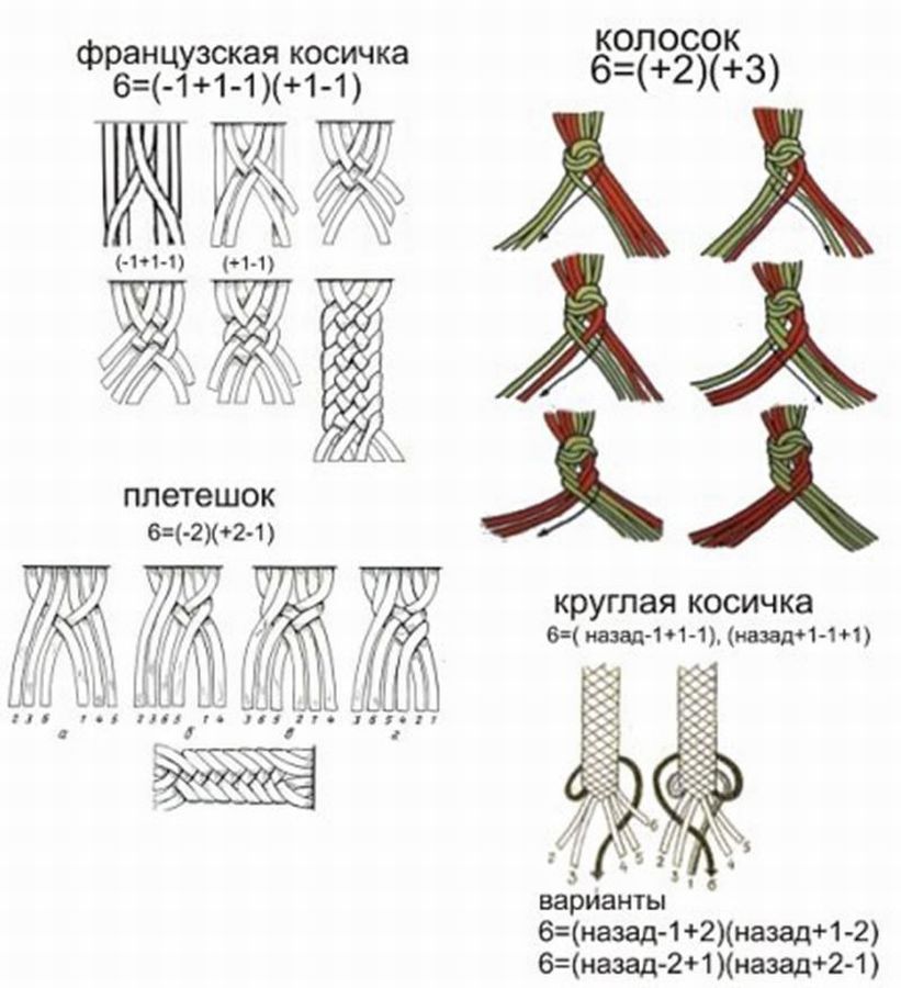 Выкройки - шлейка для собак