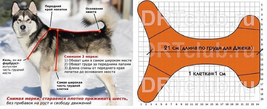 Шлейка для хаски своими руками