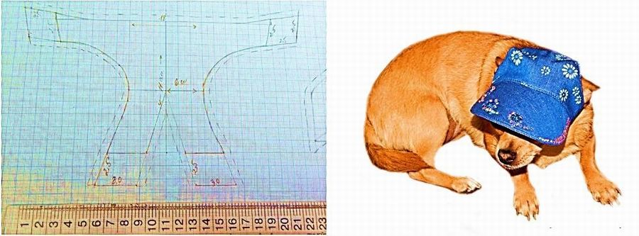 Как сделать кепку для собаки