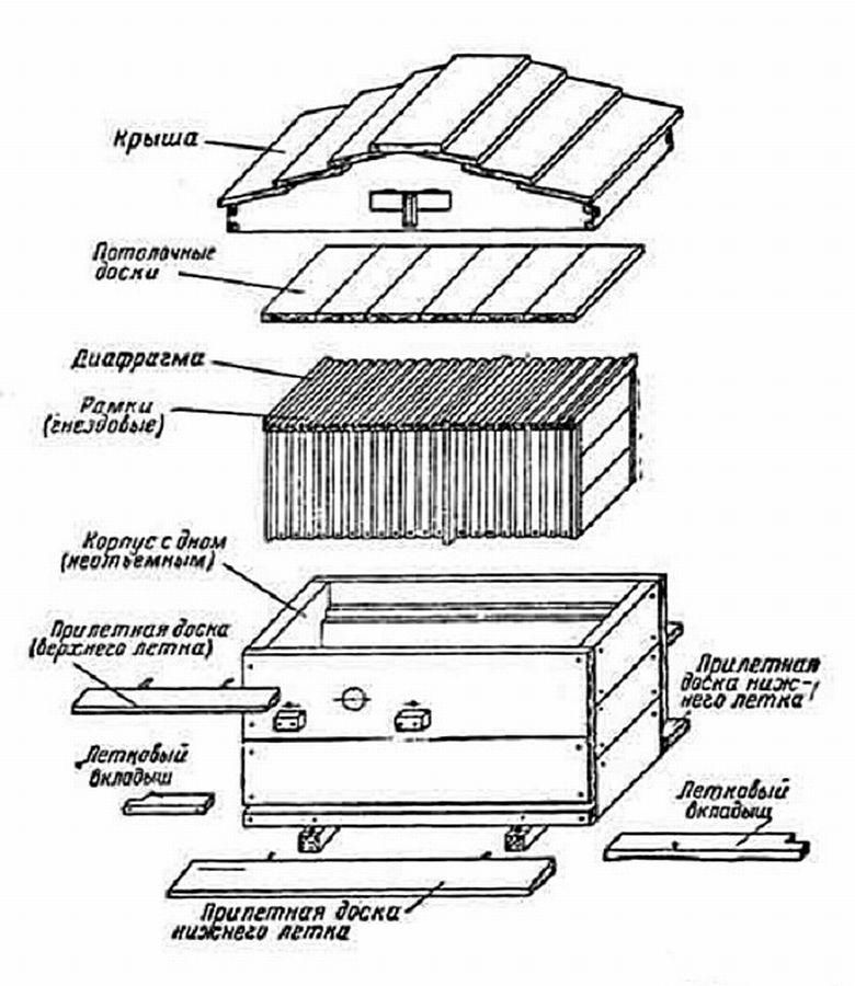 Виды ульев для пчел (своими