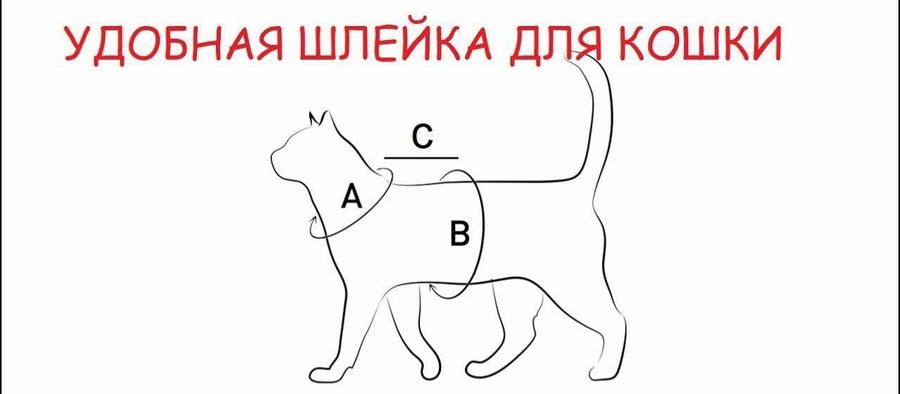 12 выкроек: шлейка для кошки