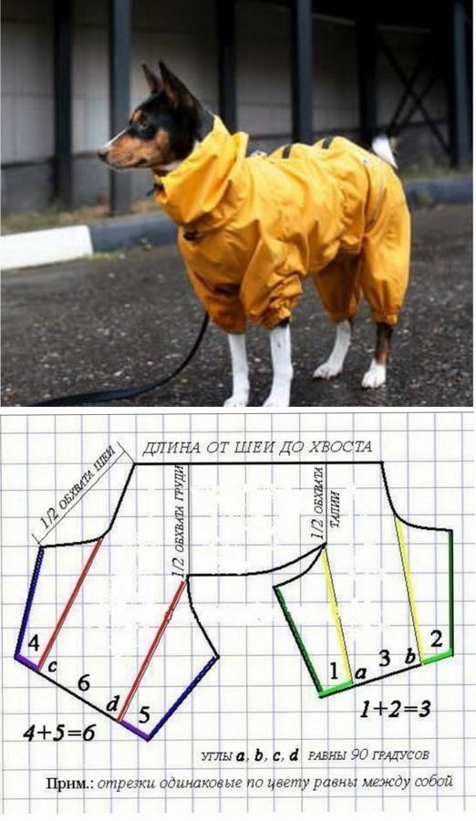 Дождевик для собаки: 17 фотографий