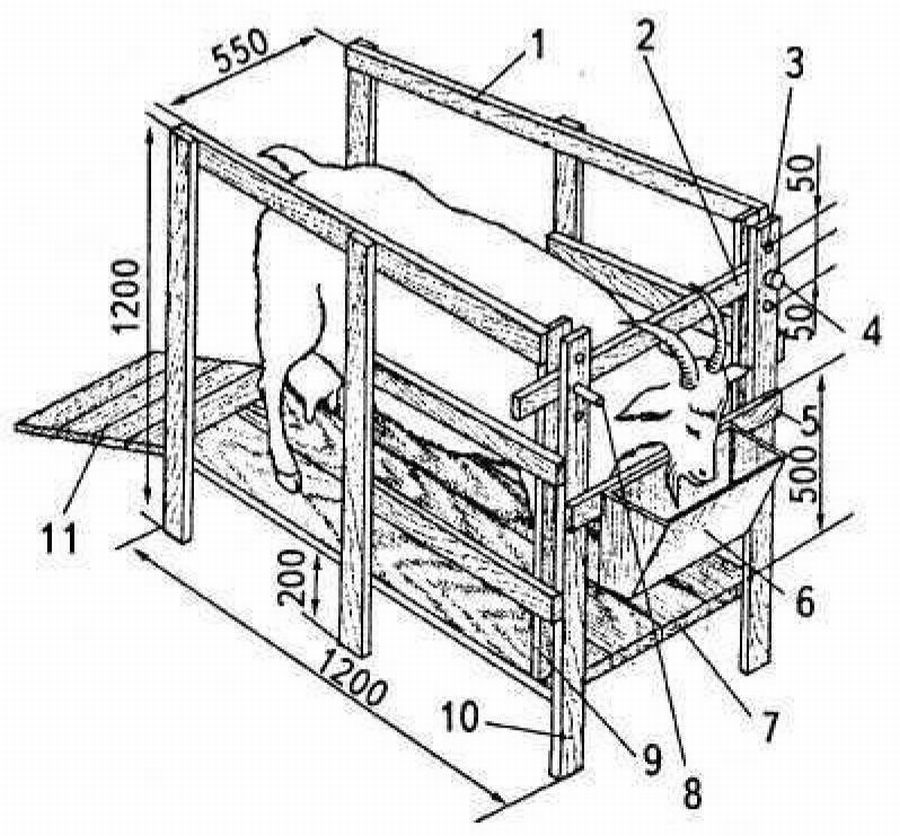 Станок для доения козы своими