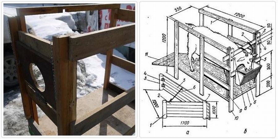 Станок для доения козы своими