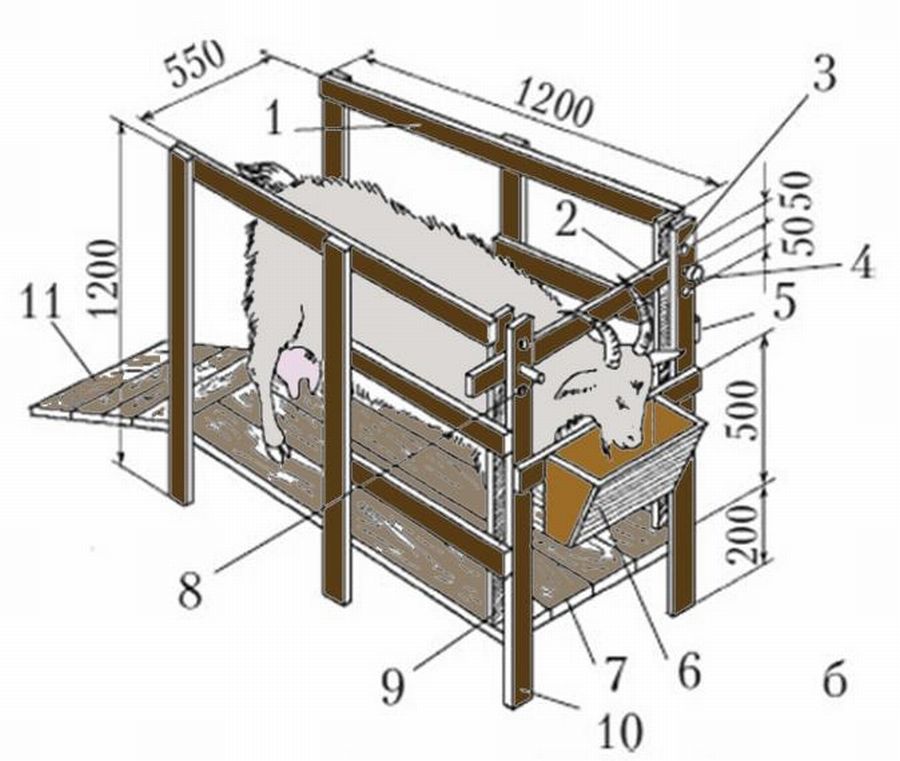 Станок для доения козы своими