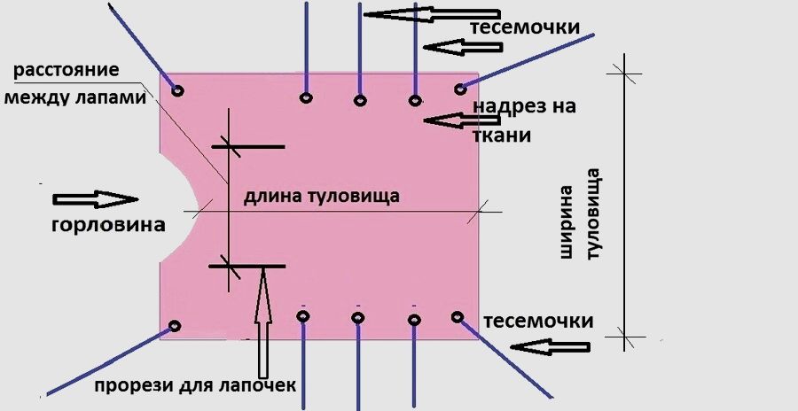 Как сделать бандаж для кошки