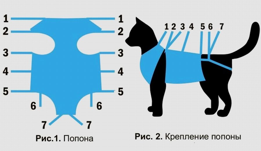 Как сделать бандаж для кошки