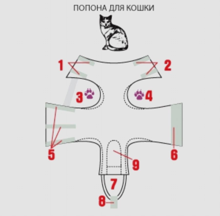 Как сделать бандаж для кошки