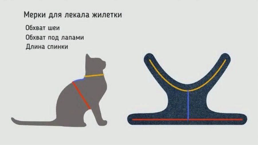 Как сделать шлейку для котенка