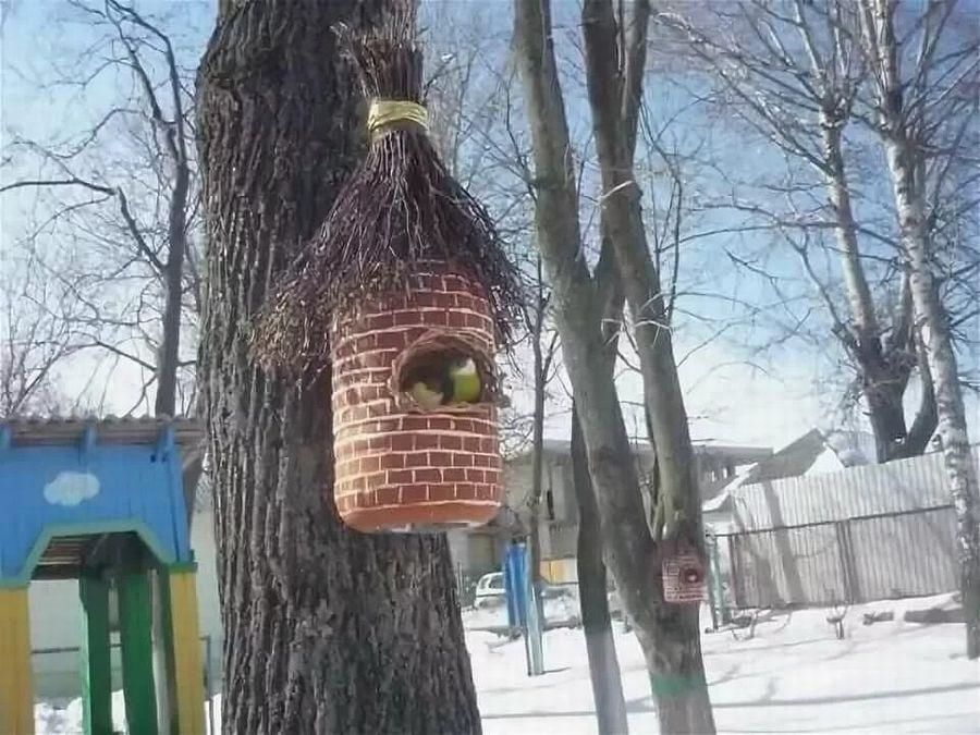 Скворечник из 5 литровой бутылки