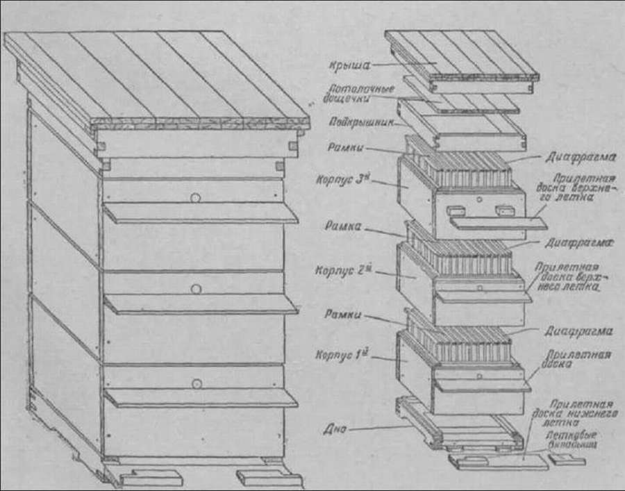10 чертежей многокорпусного улья. Различные