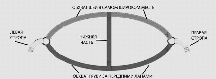 Очень простая шлейка для шпица