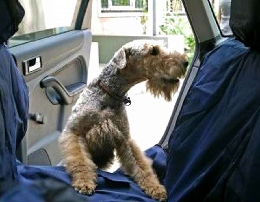 Как сшить автогамак для собаки