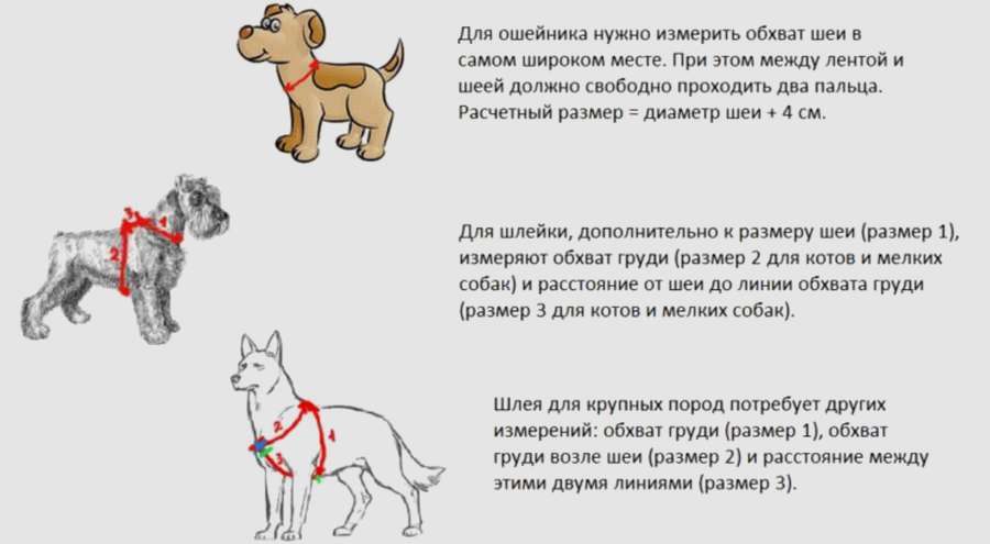 Правильная тканевая шлейка для собак