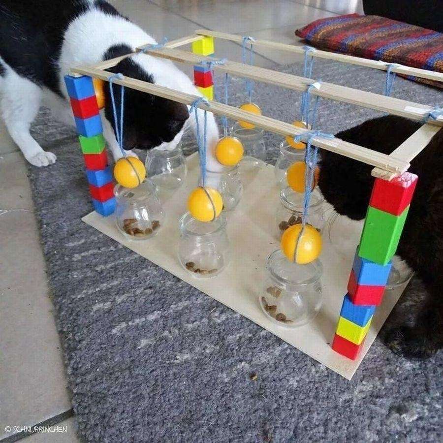 Пищевая головоломка для кошек 