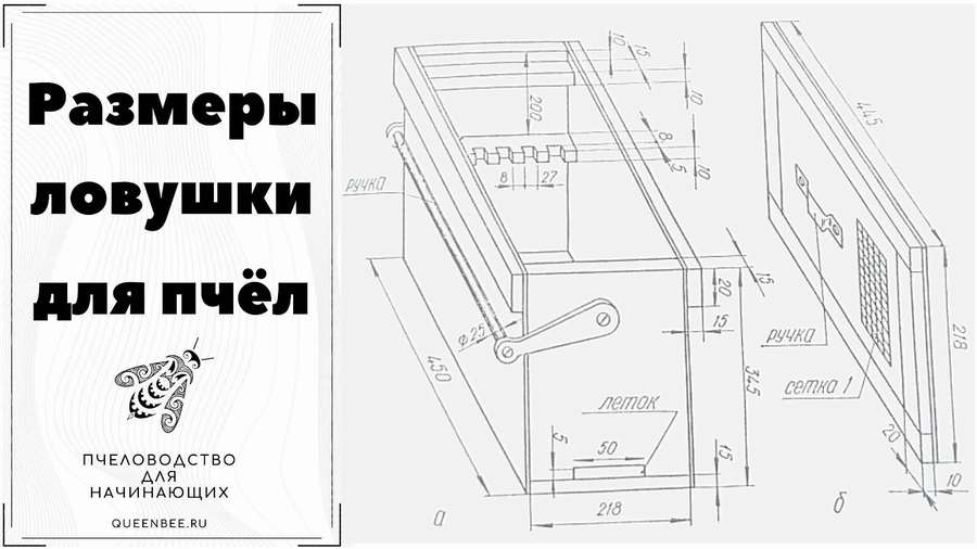 Ловушка для пчел воровок своими