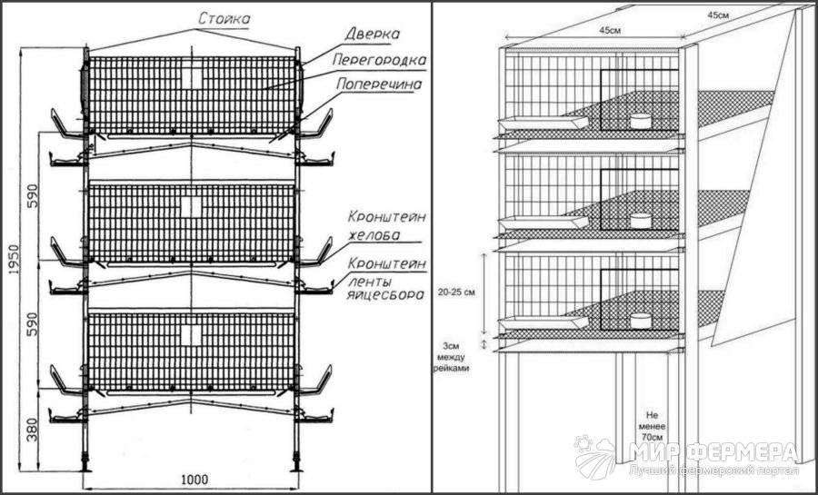 Конструкция многоярусной клетки для перепелов
