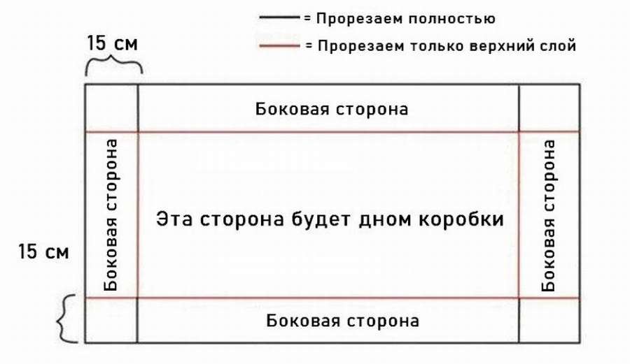 10 чертежей и схем: клетка