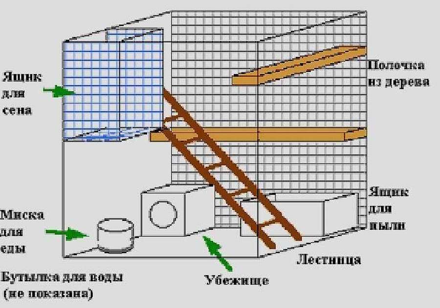 10 чертежей и схем: клетка