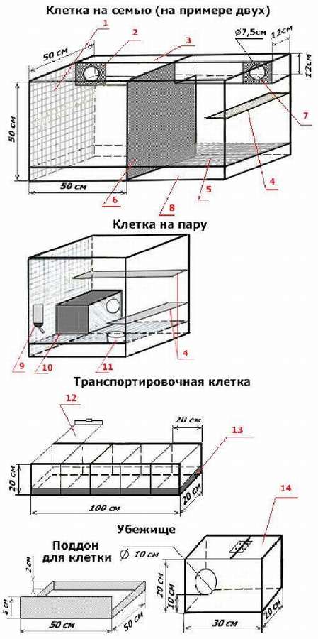 10 чертежей и схем: клетка