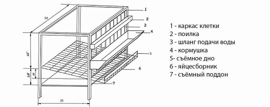 Небольшая клетка для 10 перепелов