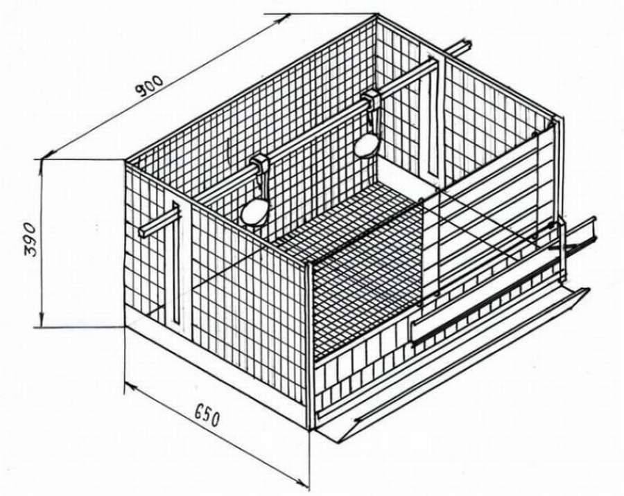 Небольшая клетка для 10 перепелов