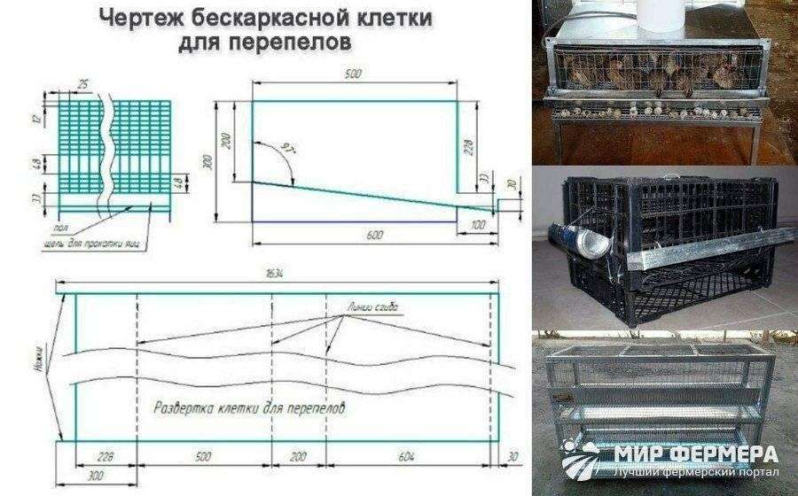 Небольшая клетка для 10 перепелов