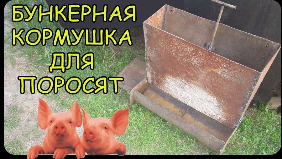 Бункерная кормушка для свиней своими