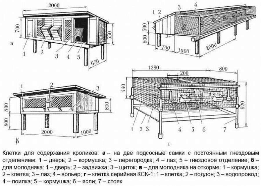 10 чертежей и схем: клетка