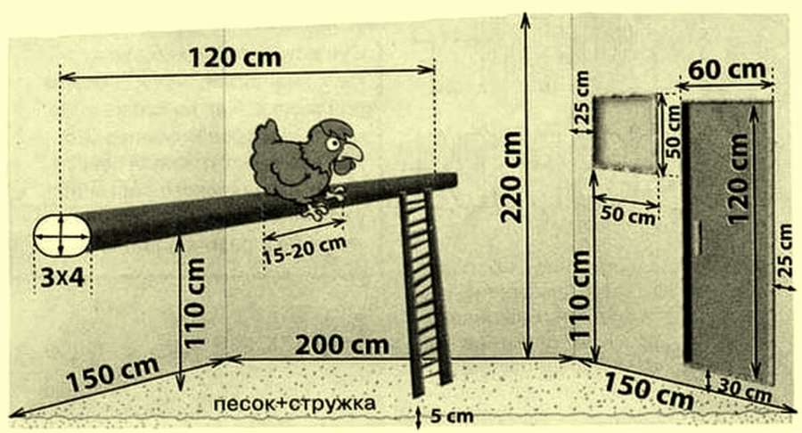 Курятник на 20 кур: подборка