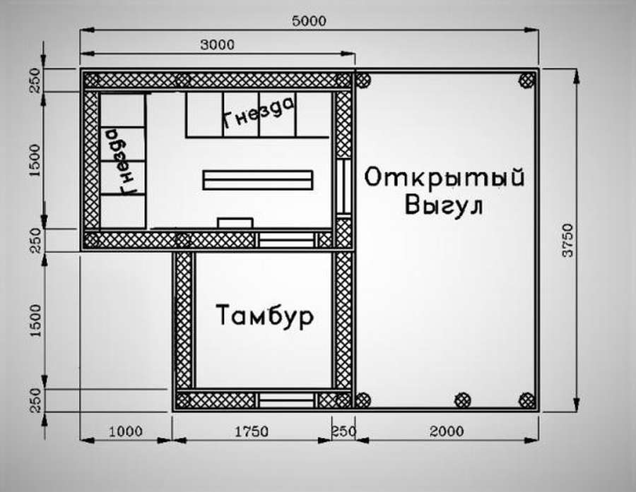 Курятник на 20 кур: подборка