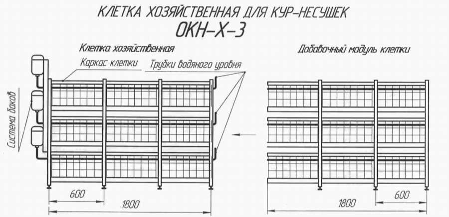 Клетки для кур: 10 чертежей