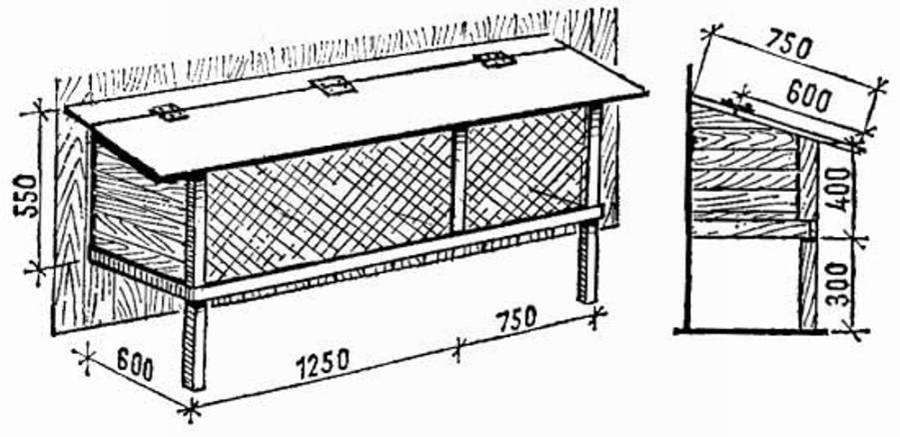 Клетки для кур: 10 чертежей