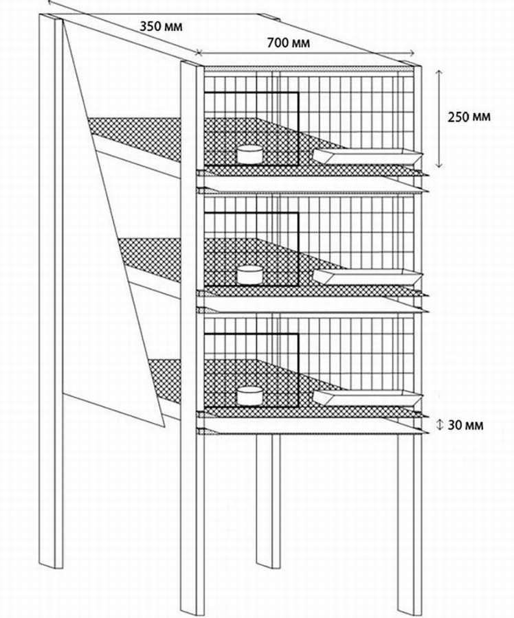 Клетки для кур: 10 чертежей