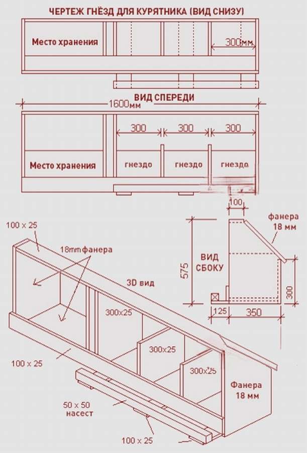 10 чертежей гнезд для кур
