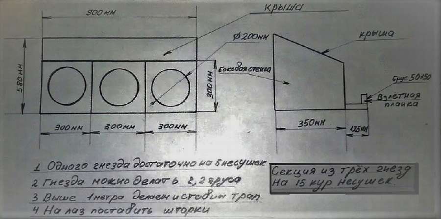 10 чертежей гнезд для кур