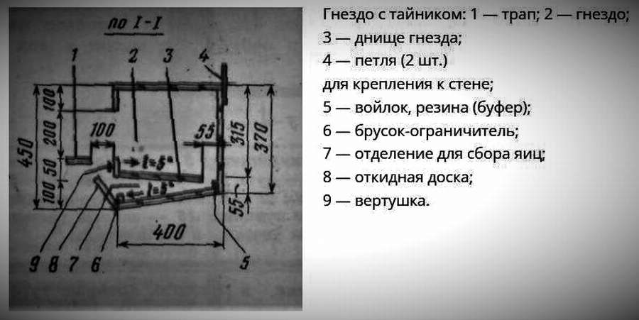 10 чертежей гнезд для кур