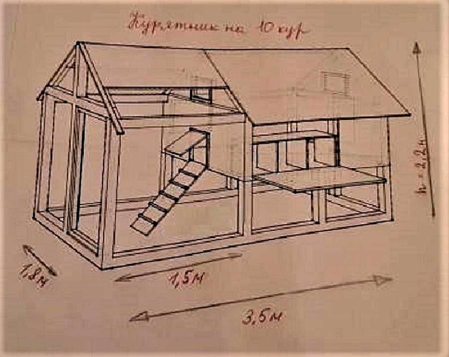 Зимний курятник: 10 чертежей, чтобы