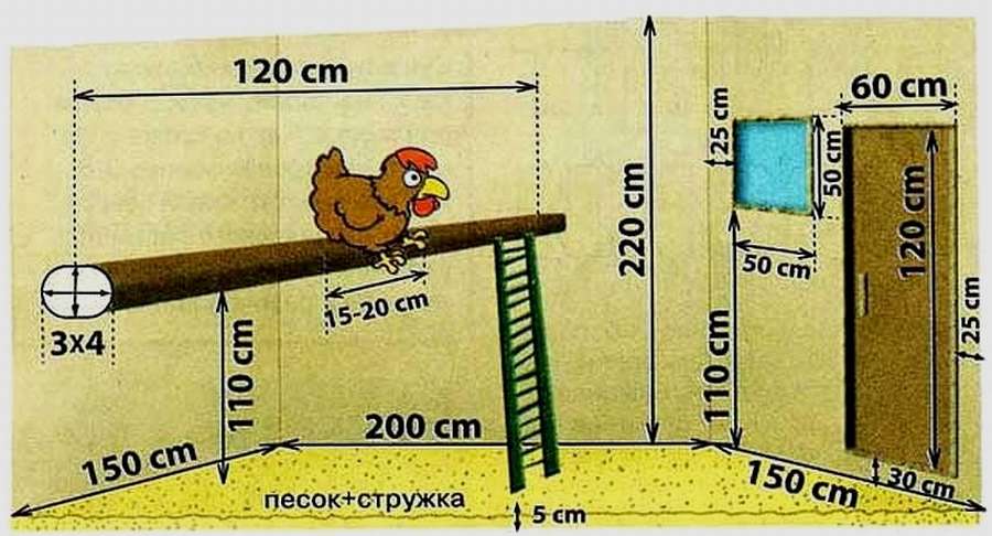 Зимний курятник: 10 чертежей, чтобы