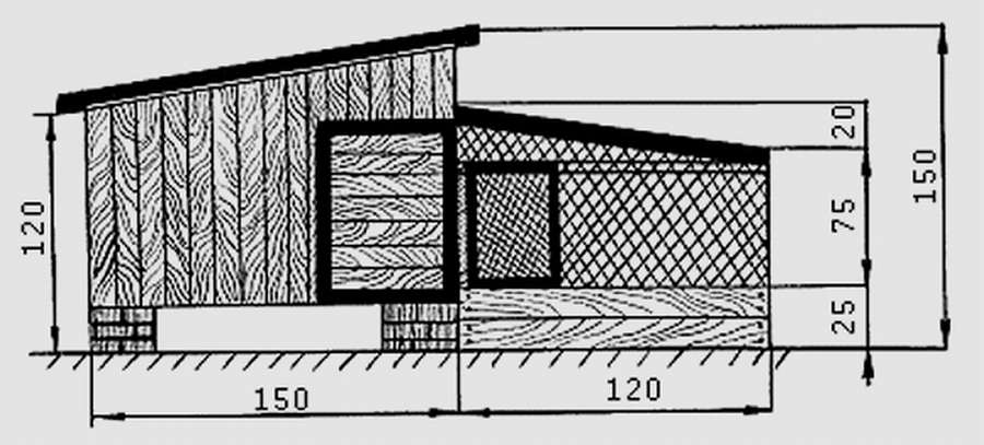 Зимний курятник: 10 чертежей, чтобы