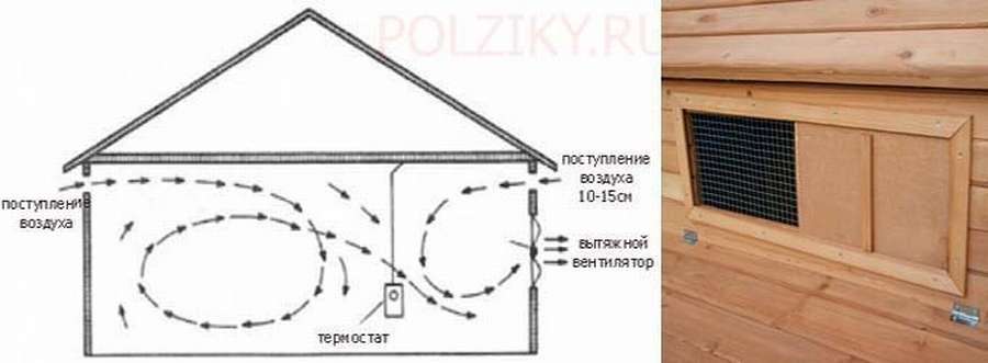 Вентиляция в курятнике своими руками