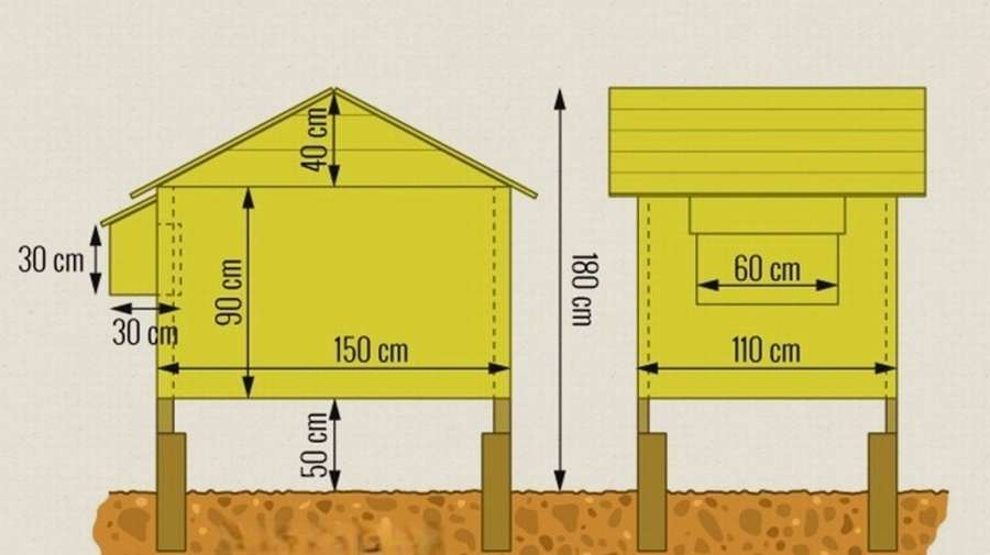 12 чертежей, чтобы сделать курятник