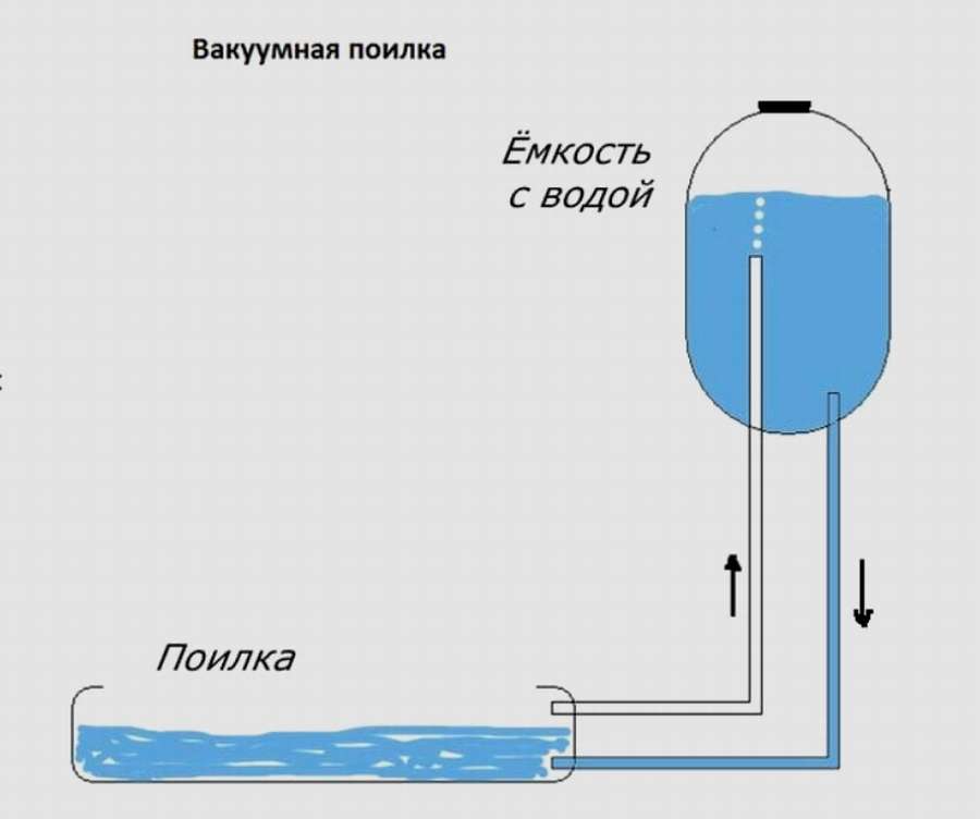 12 чертежей, чтобы сделать поилку