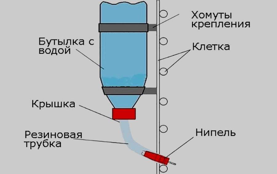 12 чертежей, чтобы сделать поилку