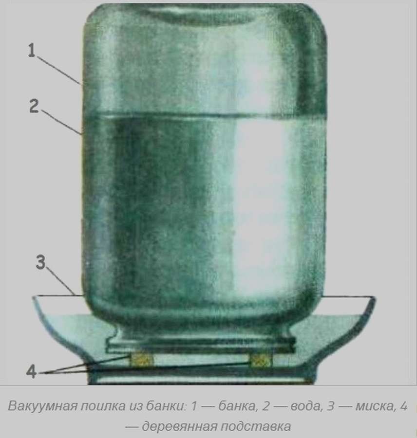 12 чертежей, чтобы сделать поилку