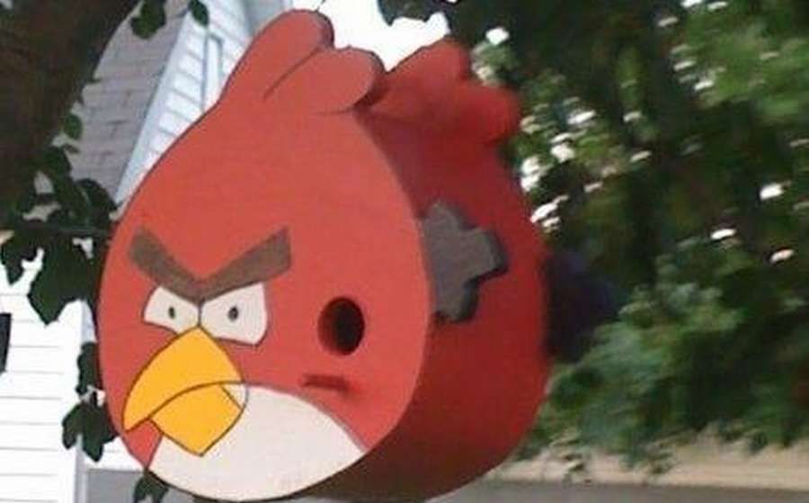 АРТ скворечник "Angry birds": 10